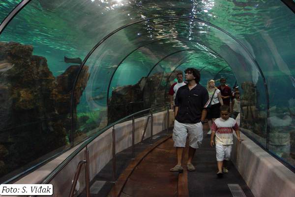 putovanje-u-barcelonu-iz-splita-15