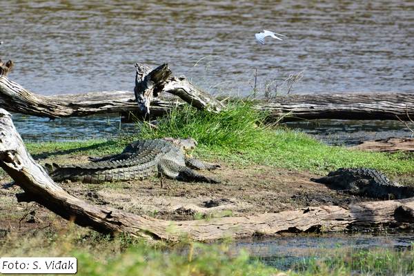 putovanje-šri-lanka-17