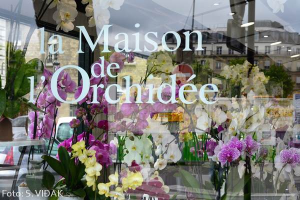 Putovanje-u-Pariz-iz-Splita14