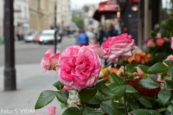 Putovanje-u-Pariz-iz-Splita18