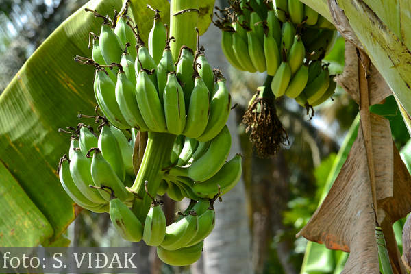 Vijetnam-putovanje-iz-Splita8